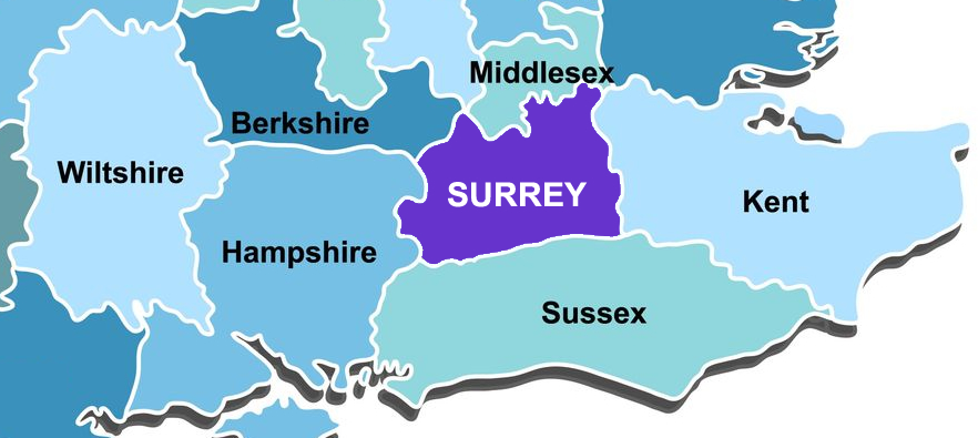 Surrey independent stock auditor