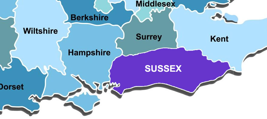 Sussex independent stock auditor